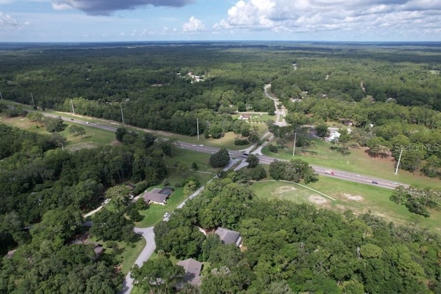19845 SW 88th Place Rd, Dunnellon, FL 34432 - photo 14