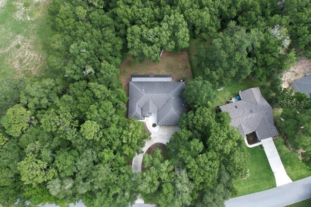 19845 SW 88th Place Rd, Dunnellon, FL 34432 - photo 10