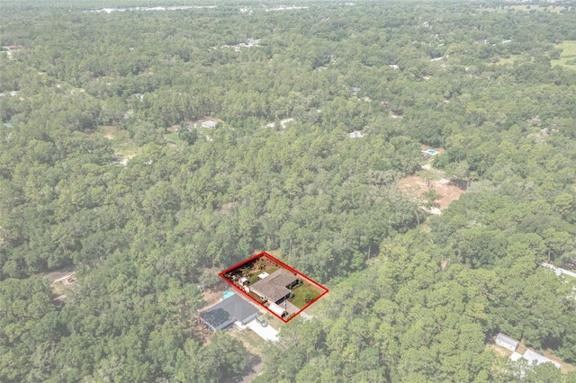 3224 E Davis Ln Unit 29, Inverness, FL 34453 - view of property location with a forest and property parcel outlined