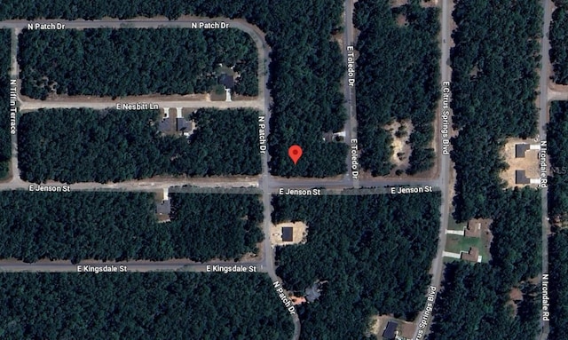 9123 N Patch Dr, Citrus Springs, FL 34434 - photo 2