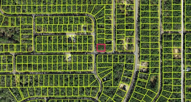 9123 N Patch Dr, Citrus Springs, FL 34434 - photo 3