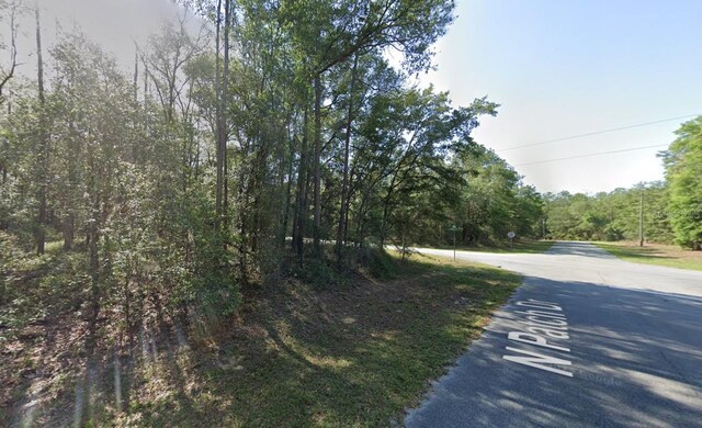 9123 N Patch Dr, Citrus Springs, FL 34434 - photo 6