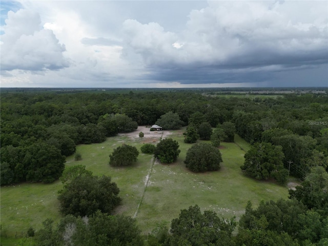 SW 107th St, Archer, FL 32618 - photo 9