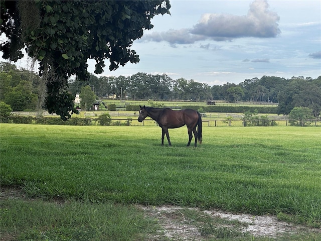 SW 107th St, Archer, FL 32618 - photo 2