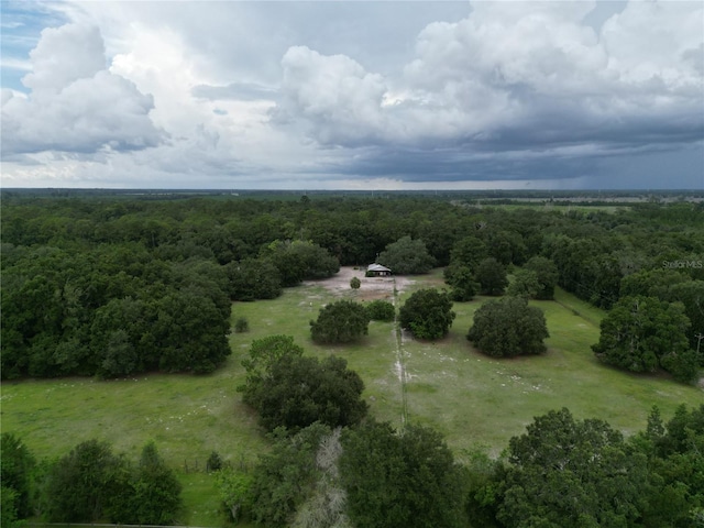 SW 107th St, Archer, FL 32618 - photo 4