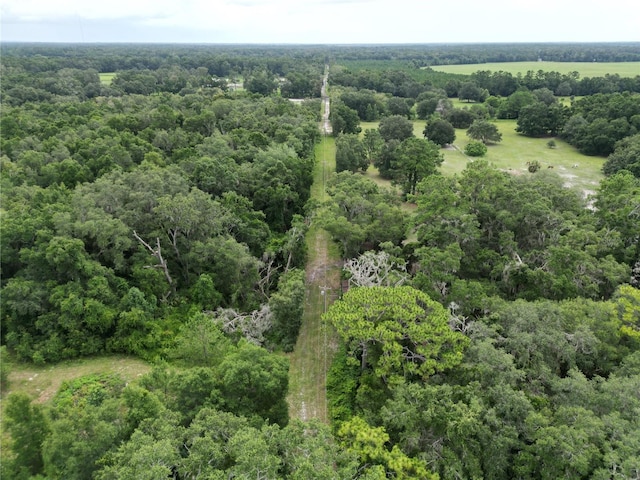 SW 107th St, Archer, FL 32618 - photo 6