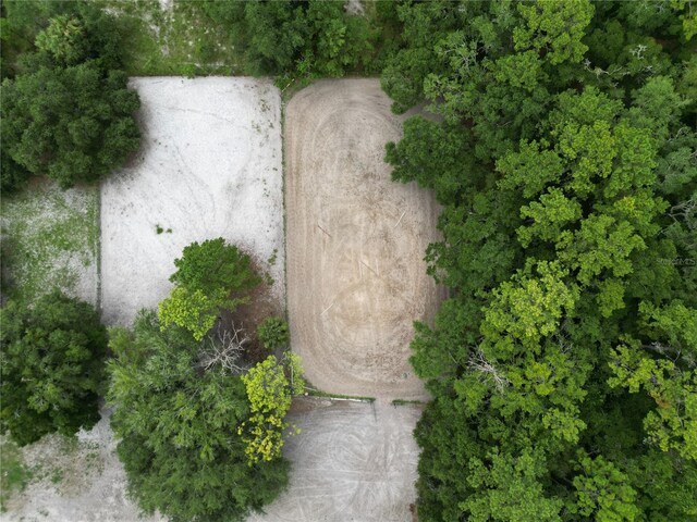 SW 107th St, Archer, FL 32618 - photo 7
