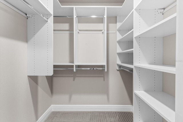 837 E Epsom Ct, Hernando, FL 34442 - spacious closet featuring carpet floors