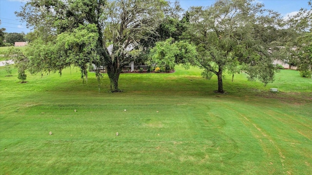 837 E Epsom Ct, Hernando, FL 34442 - view of grassy yard featuring view of wooded area