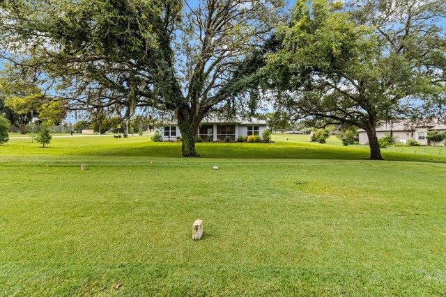 837 E Epsom Ct, Hernando, FL 34442 - view of green lawn