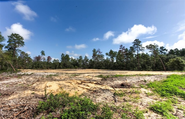 TBD SW 32nd Cir, Ocala, FL 34473 - photo 3
