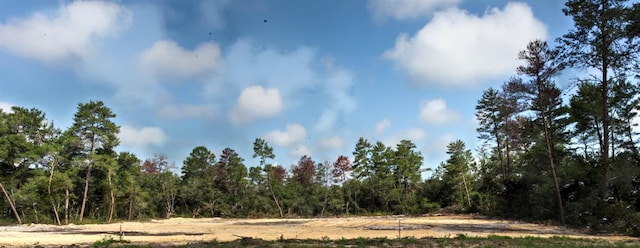TBD SW 32nd Cir, Ocala, FL 34473 - photo 4