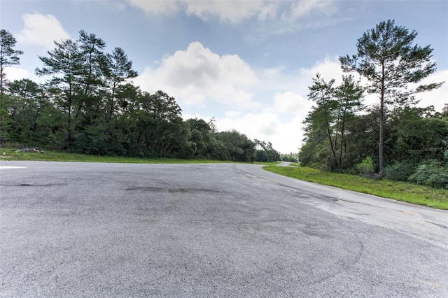 TBD SW 32nd Cir, Ocala, FL 34473 - photo 7