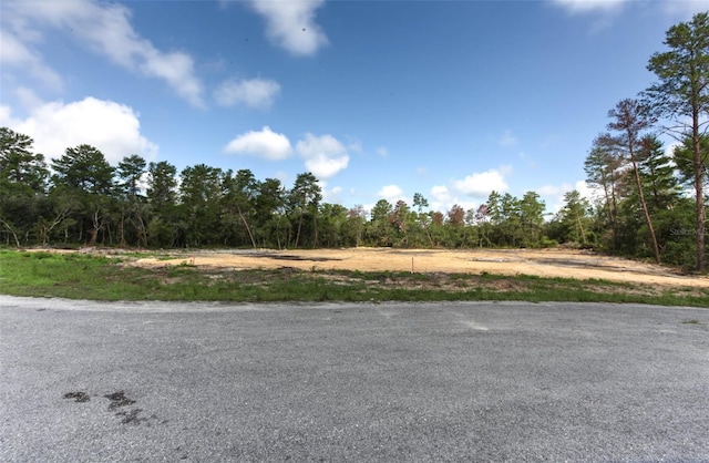 TBD SW 32nd Cir, Ocala, FL 34473 - photo 8