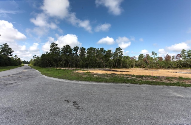 TBD SW 32nd Cir, Ocala, FL 34473 - photo 9