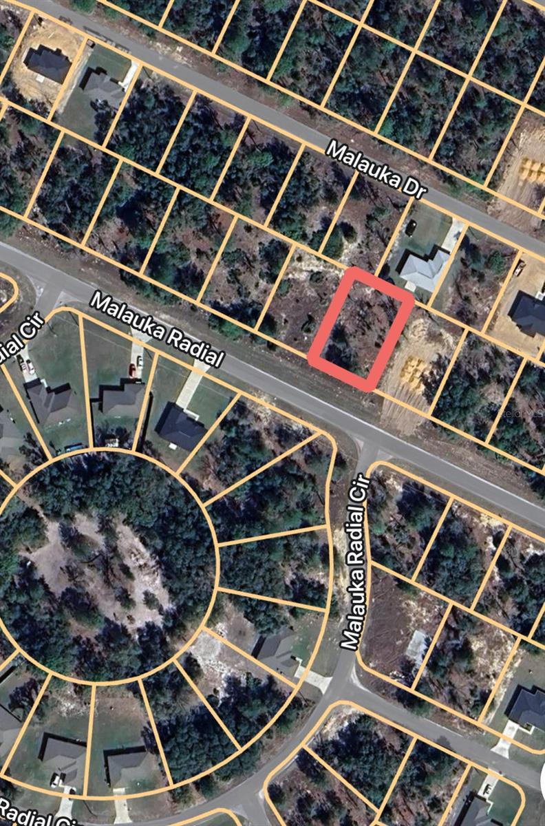 0 Malauka Radl Unit 6, Ocklawaha, FL 32179