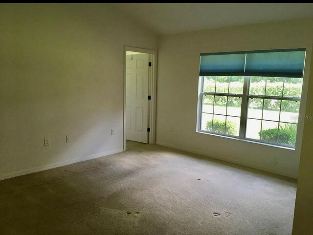 7929 SW 80th Place Rd, Ocala, FL 34476 - photo 9