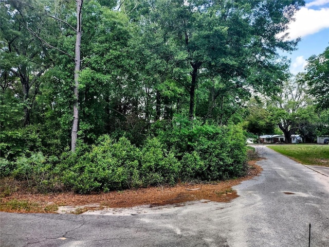 TBD NE 12th St, Williston, FL 32696