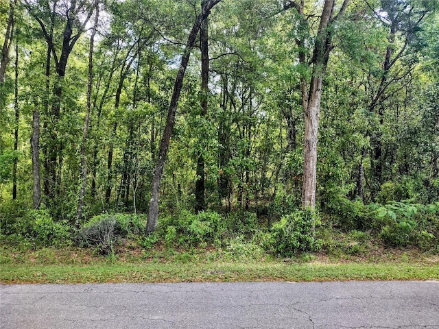 TBD NE 12th St, Williston, FL 32696