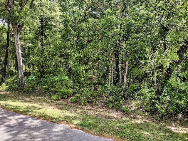 TBD NE 12th St, Williston, FL 32696