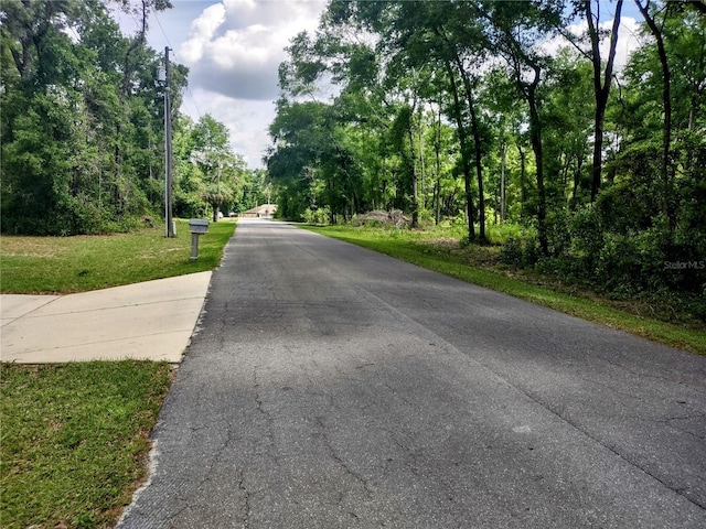 TBD NE 12th St, Williston, FL 32696