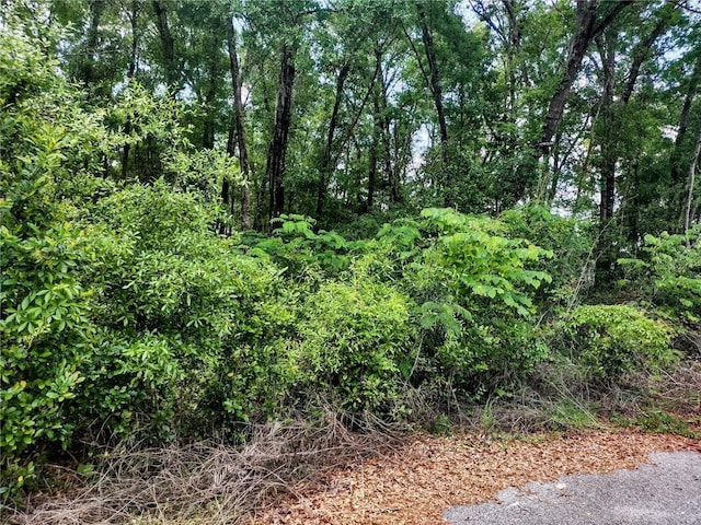 TBD NE 12th St, Williston, FL 32696