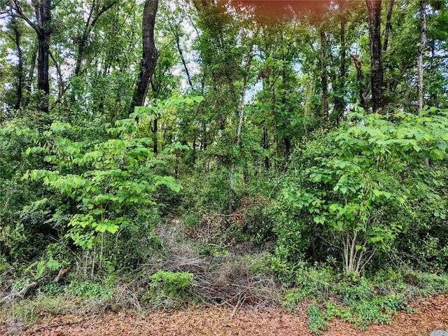 TBD NE 5th St, Williston, FL 32696