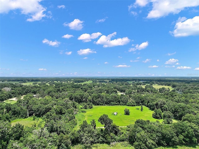 15785 NW 33rd Ter, Reddick, FL 32686 - photo 4