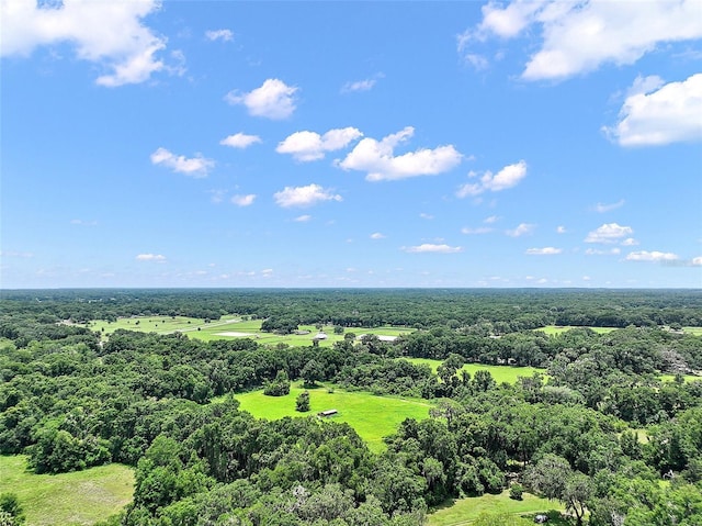 15785 NW 33rd Ter, Reddick, FL 32686 - photo 9