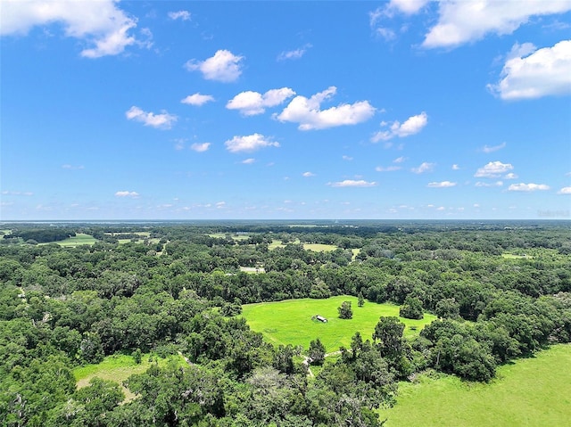 15785 NW 33rd Ter, Reddick, FL 32686 - photo 11