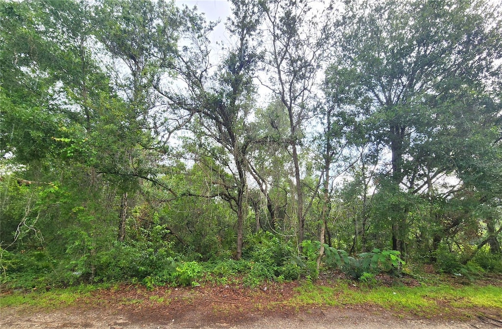 Se 20 Place, Silver Springs, FL 34488 - photo 1
