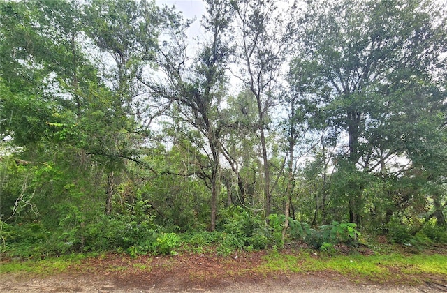 Se 20 Place, Silver Springs, FL 34488 - photo 1