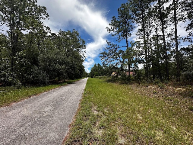 TBD SW 136th St, Ocala, FL 34473 - photo 3