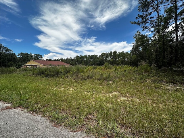 TBD SW 136th St, Ocala, FL 34473 - photo 4