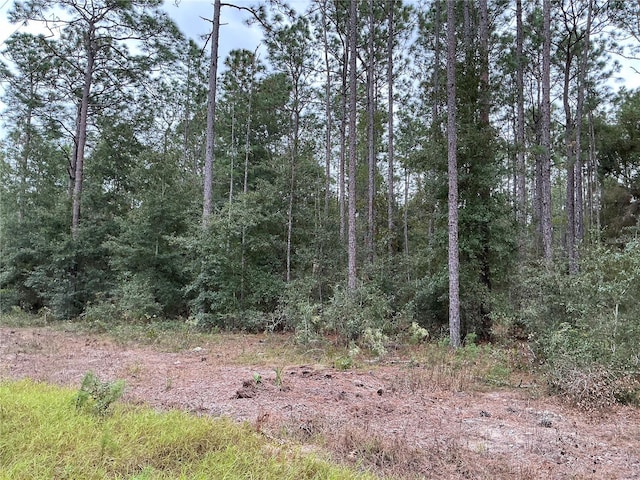 SW 29th St, Ocala, FL 34481 - photo 2