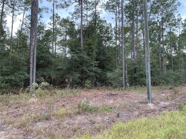 SW 29th St, Ocala, FL 34481 - photo 3