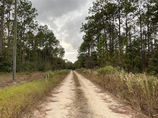 SW 29th St, Ocala, FL 34481 - photo 4