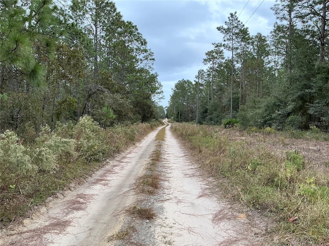 SW 29th St, Ocala, FL 34481 - photo 5