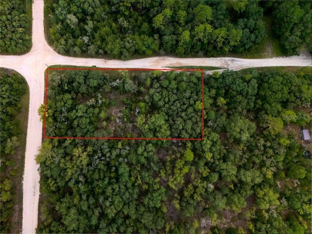 00 NE 110th Ave, Bronson, FL 32621 - photo 2