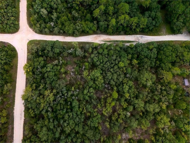 00 NE 110th Ave, Bronson, FL 32621 - photo 3