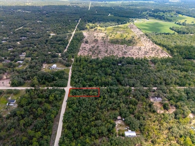 00 NE 110th Ave, Bronson, FL 32621 - photo 4