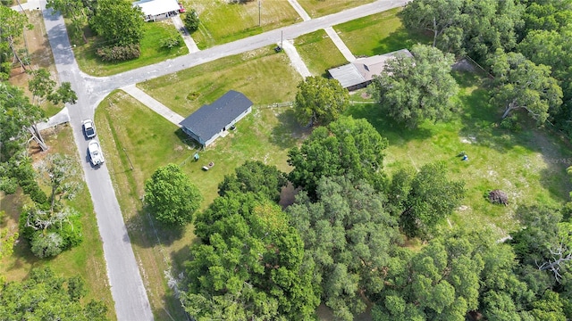 16550 NE 26th Pl, Williston, FL 32696 - photo 23