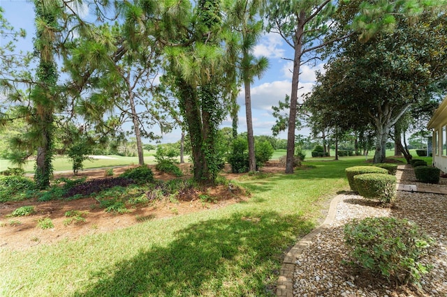 13320 SE 97th Terrace Rd, Summerfield, FL 34491 - photo 4