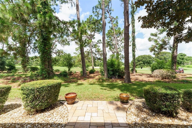 13320 SE 97th Terrace Rd, Summerfield, FL 34491 - photo 5