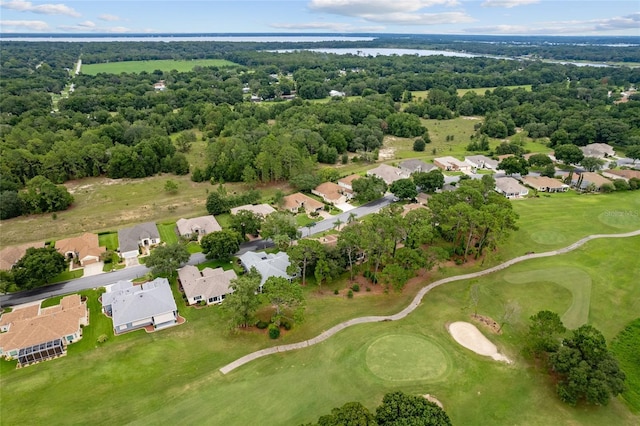 13320 SE 97th Terrace Rd, Summerfield, FL 34491 - photo 87