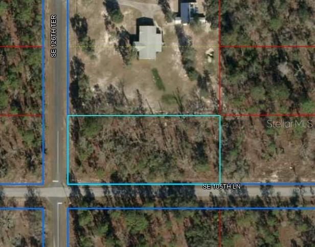 LOT20 SE 126th Ter, Dunnellon, FL 34431 - photo 1