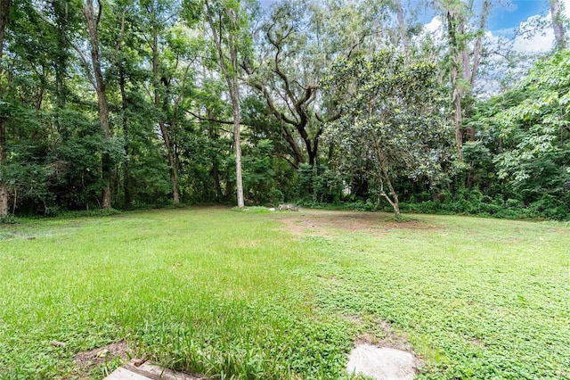 40 Chatfield Dr, Brooksville, FL 34601 - photo 26