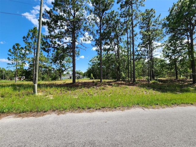 Malauka Radial Run, Ocklawaha, FL 32179