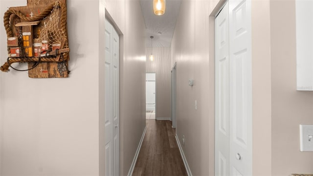 705 Guava Dr, Saint Augustine, FL 32095 - hall with dark wood-type flooring and baseboards