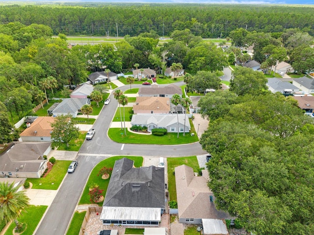 705 Guava Dr, Saint Augustine, FL 32095 - aerial perspective of suburban area with a forest